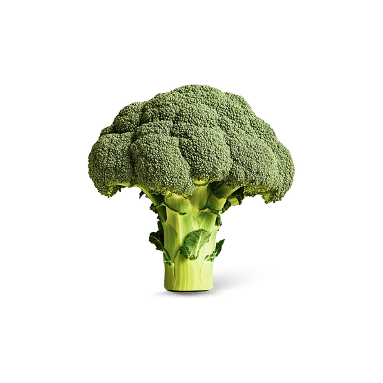 Foto van Broccoli los op witte achtergrond