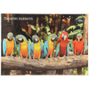 Thumbnail van variant Puzzel