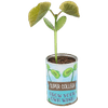 Thumbnail van variant Grow your own wish beans