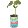Thumbnail van variant Grow your own wish beans
