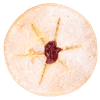 Thumbnail van variant Wolkencake met aardbeien