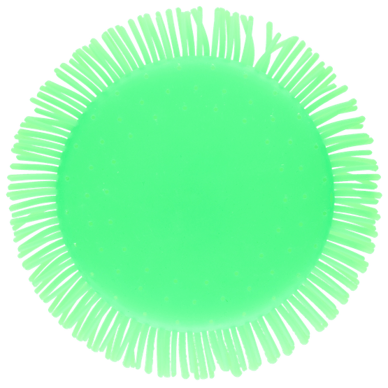 Foto van Puffer frisbee op witte achtergrond