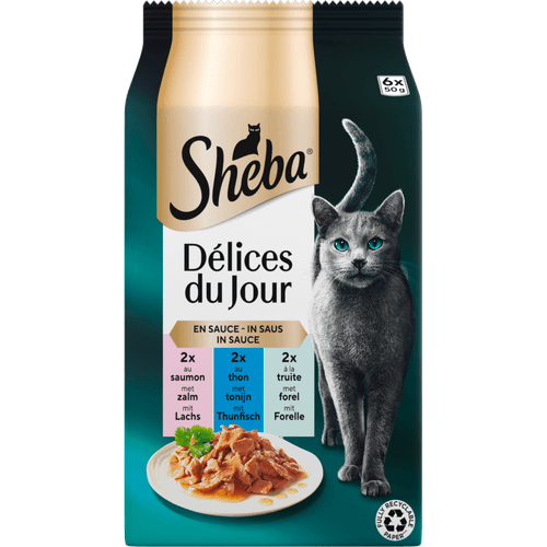 Foto van Sheba Kattenvoer delices du jour vis 6st op witte achtergrond