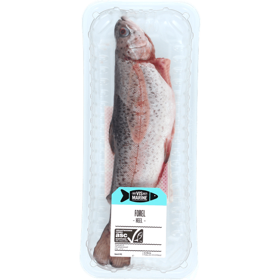Foto van Vis Marine Hele forel op witte achtergrond