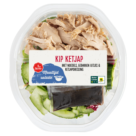 Foto van 1 de Beste Maaltijdsalade kip ketjap op witte achtergrond