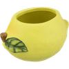 Thumbnail van variant Bloempot fruit