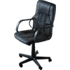 Thumbnail van variant Ergonomische rugsteun