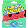 Thumbnail van variant Scrub stars flower