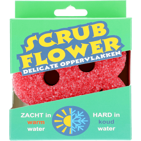 Foto van Scrub stars flower op witte achtergrond