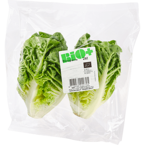 Foto van Bio+ Mini romaine op witte achtergrond