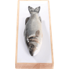 Thumbnail van variant Sea Fresh Zeebaars heel