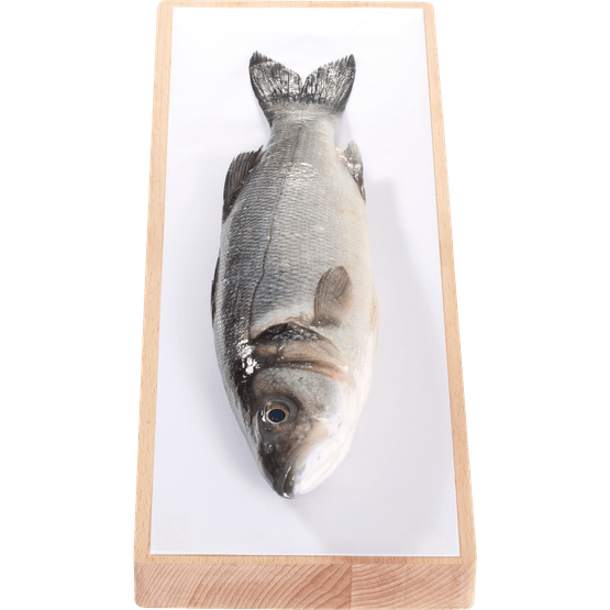 Foto van Sea Fresh Zeebaars heel op witte achtergrond