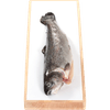 Thumbnail van variant Vis Marine Hele forel