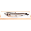 Thumbnail van variant Vis Marine Hele forel