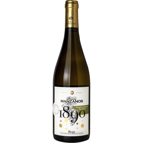 Foto van Pasqua Prosecco Treviso DOC Spumante extra dry op witte achtergrond