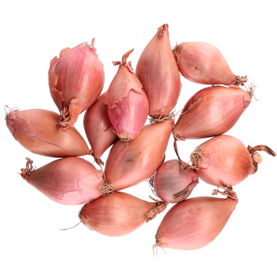 Foto van Bio+ sjalotten op witte achtergrond