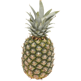 Grote ananas 