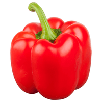  Paprika rood