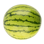 Baby watermeloen 
