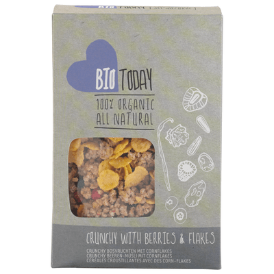 BioToday Cornflakes crunchy & bosvruchten