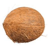 Kokosnoot 