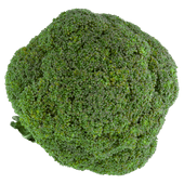 Bio+ Biologische broccoli 