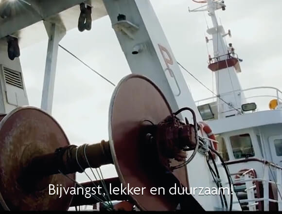 Bijvangst, lekker en duurzaam video Bijvangst, lekker en duurzaam video