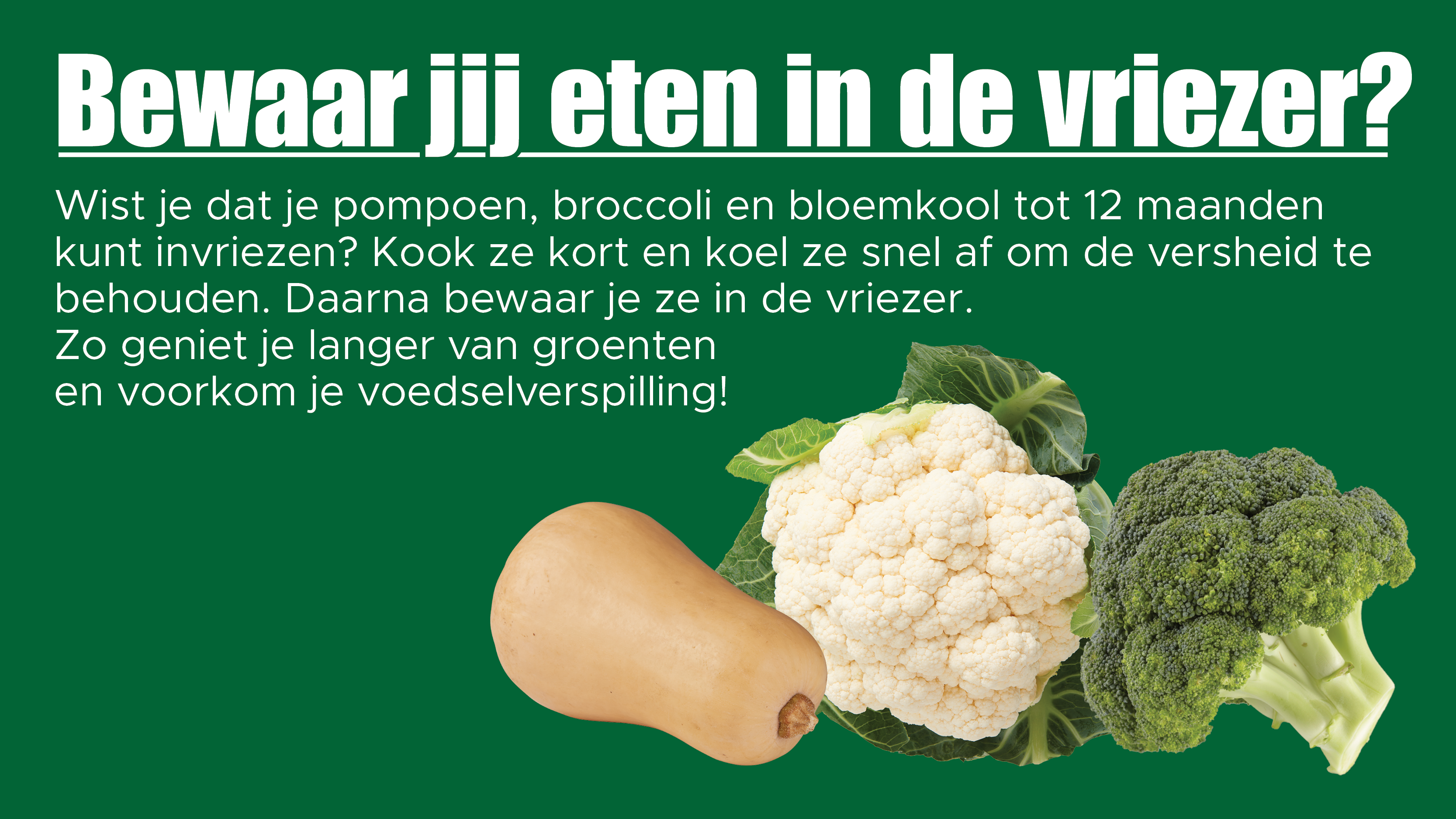 pompoen vriezer