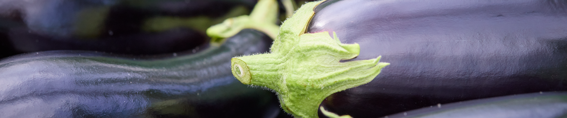 Aubergines