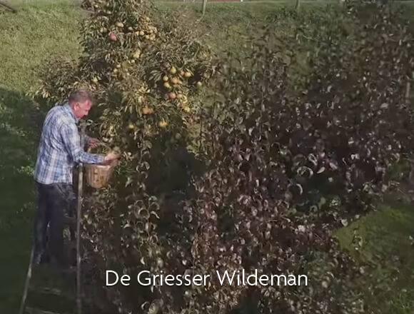 De Griesser Wildeman video De Griesser Wildeman video