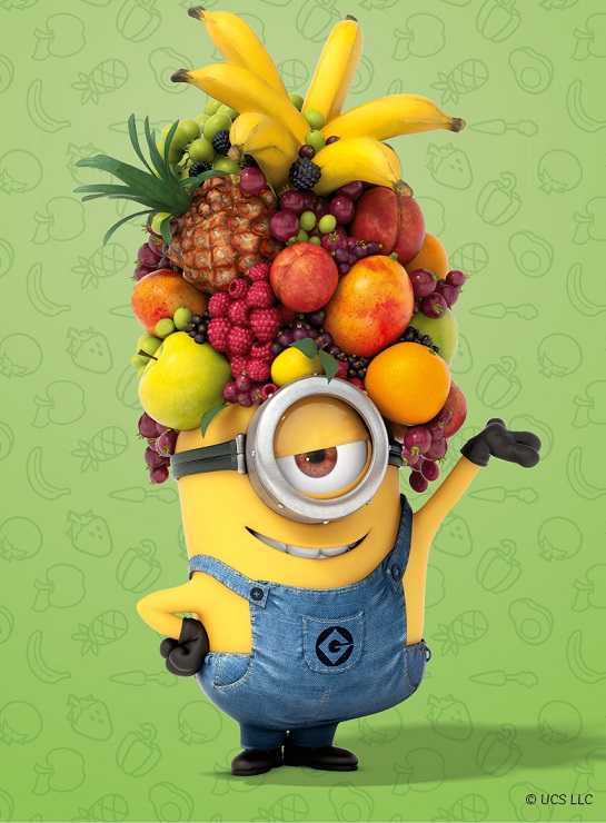 Web minions_carousselnw