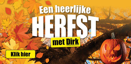 Dirk banner