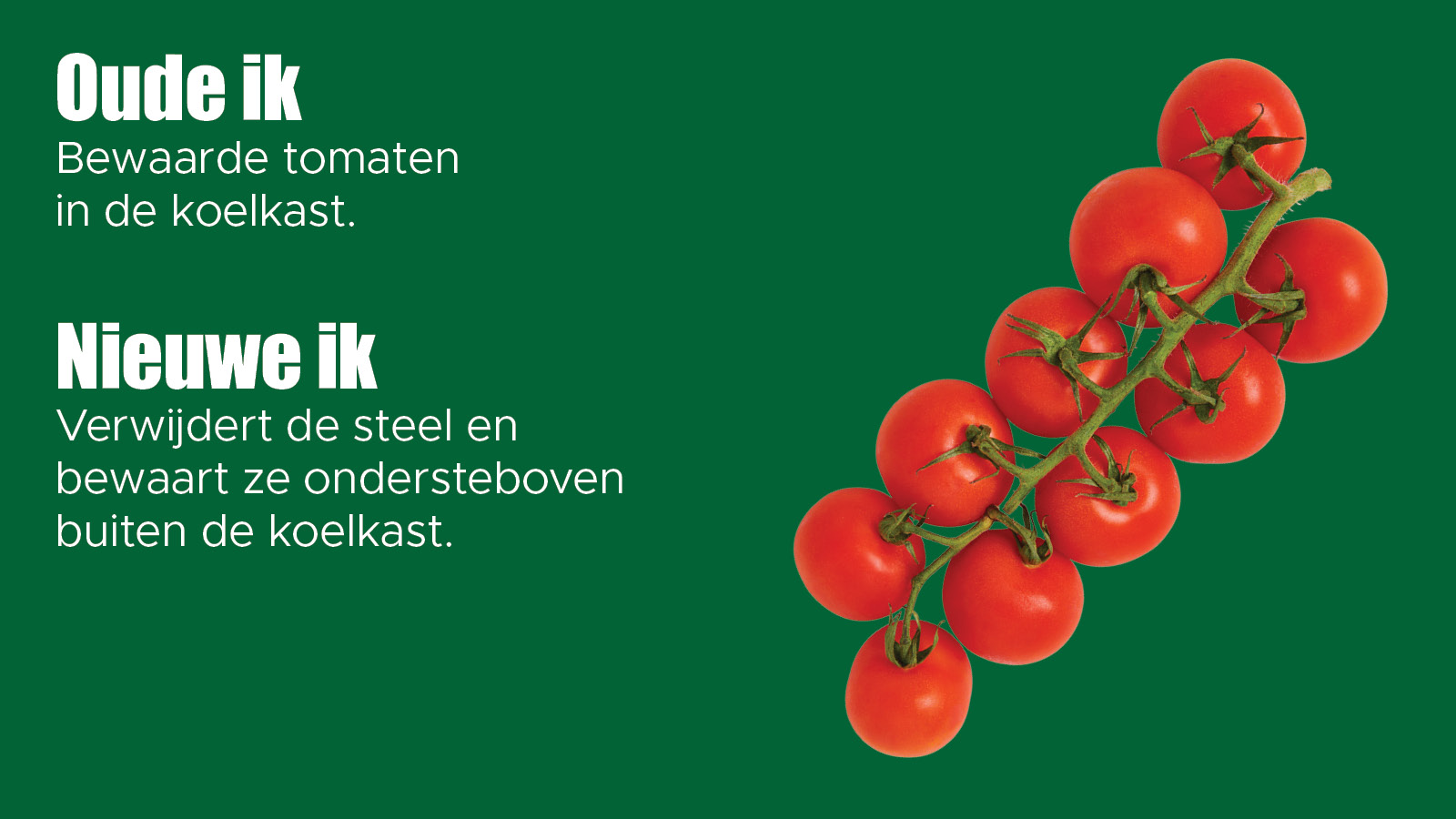 Tomaten