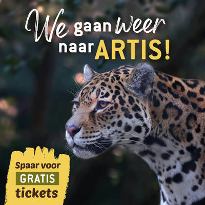 Aanbiedingen  DekaMarkt