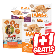 Iams 
