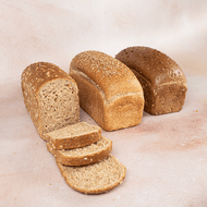 DekaVers Hollander of Tarpan Brood