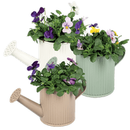 Arrangement Gieter Met Violen
