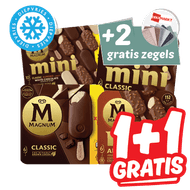 Magnum Handijs