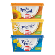 Gouda's Glorie