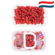 Hollandse Frambozen of Rode Bessen