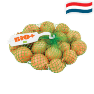 Hollandse Bio+ Uien