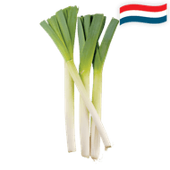 Hollandse Prei