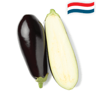 Hollandse Aubergine