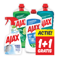 Ajax Allesreiniger of Shower Power