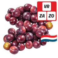 Hollandse Pruimen