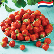 Hollandse Aardbeien