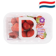 Hollandse Aardbeien
