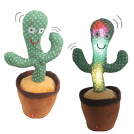 Dansende Cactus