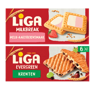 Liga