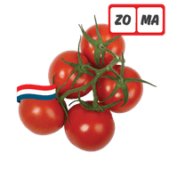 Hollandse Trostomaten